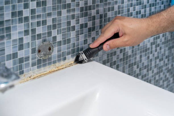 Best Mold Testing  in Albany, KY
